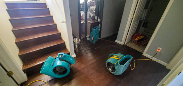 Best Carpet water damage restoration  in Carterville, MO