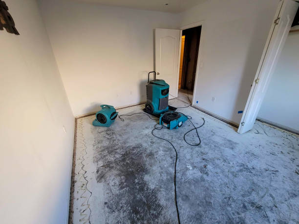 Best Fire Damage Restoration  in Carterville, MO