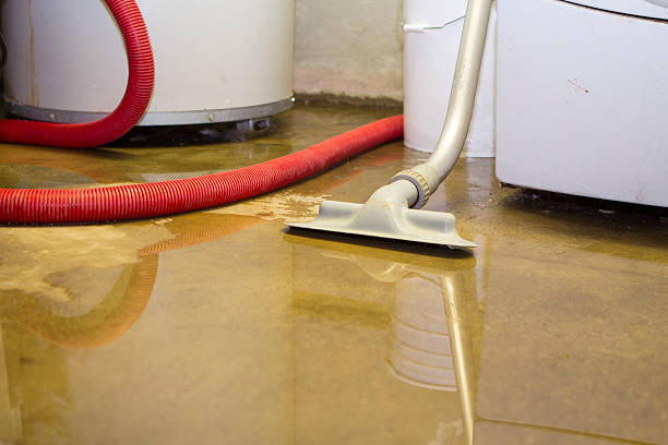 Best Water damage restoration near me  in Carterville, MO
