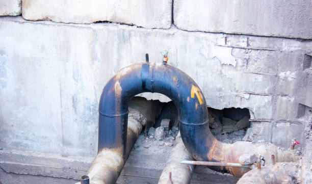 Best Local water damage restoration  in Carterville, MO