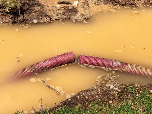 Best Water damage contractors near me  in Carterville, MO