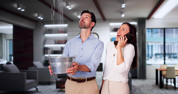 Best Flood restoration services  in Carterville, MO