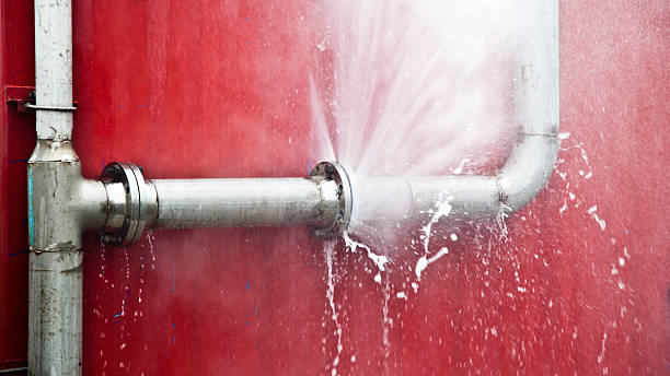 Best Water damage restoration specialists  in Carterville, MO